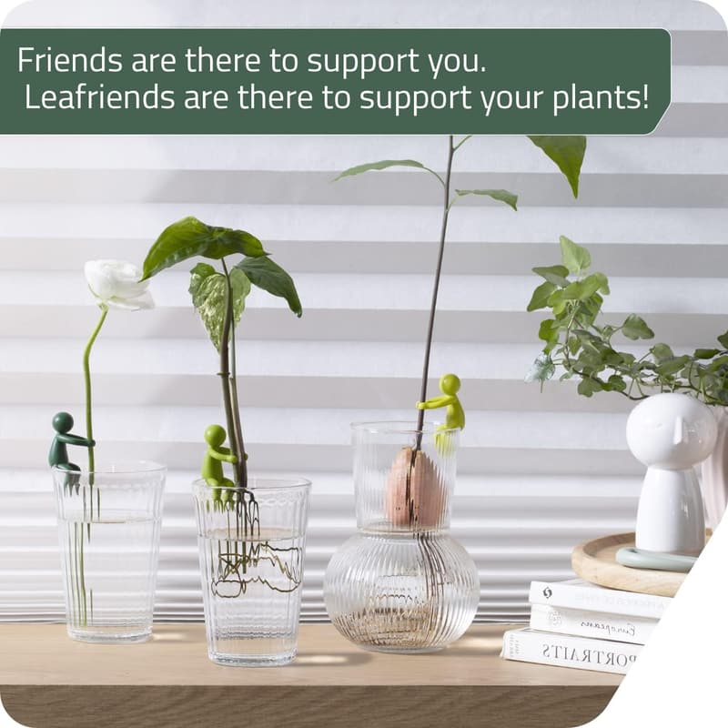 Plant Propagation Buddy: 3 Cute Supports for Indoor Gardens