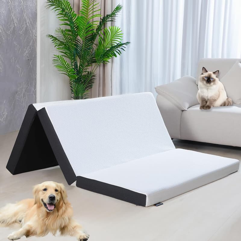 Foldable Queen Size Memory Foam Mattress with Breathable Cover