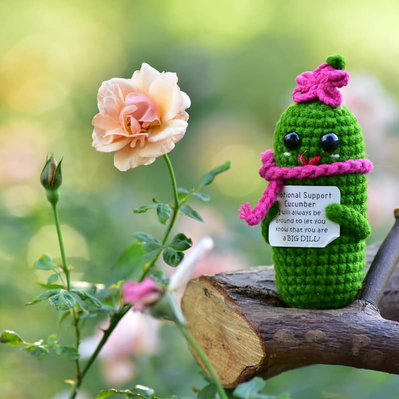 Inspirational Crochet Pickle with Affirmation Card - Novelty Gift