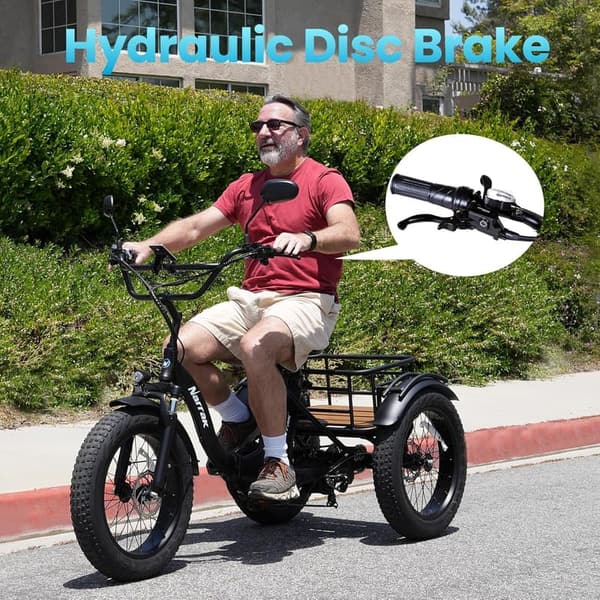 48V 750W Adult Electric Tricycle with Fat Tires