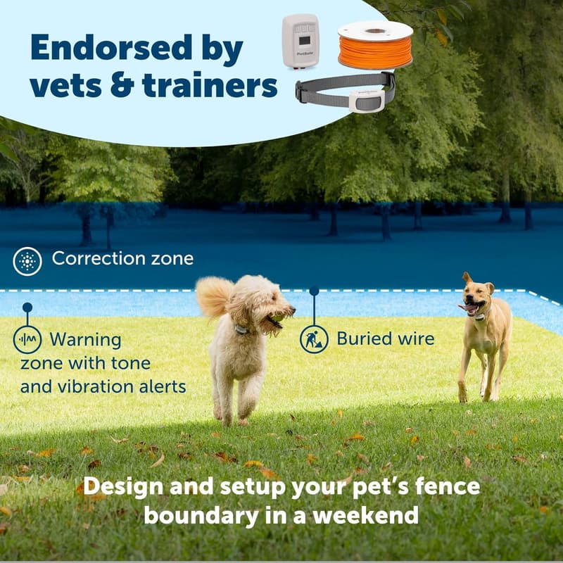 PetSafe Classic In-Ground Pet Fence System with LCD Screen