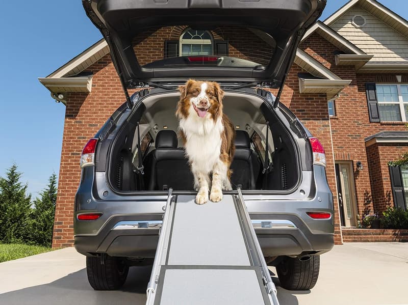 PetSafe Adjustable Telescoping Dog Ramp for Cars & SUVs
