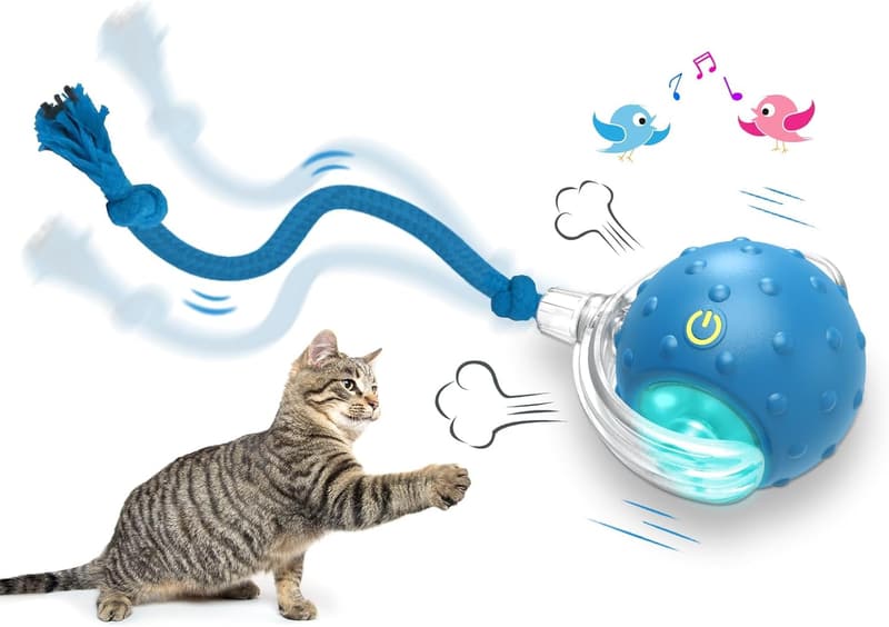 Interactive Chirping Cat Toy Ball for Indoor Play