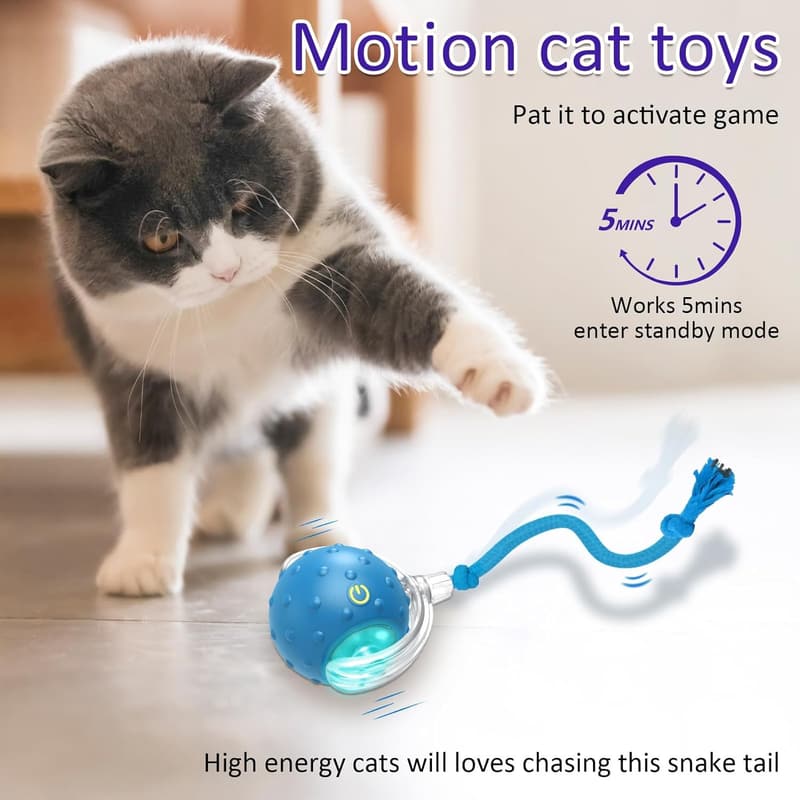 Interactive Chirping Cat Toy Ball for Indoor Play