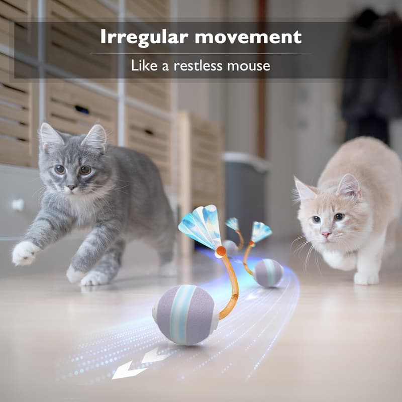 Interactive Motion-Activated Cat Toy Ball for Indoor Cats
