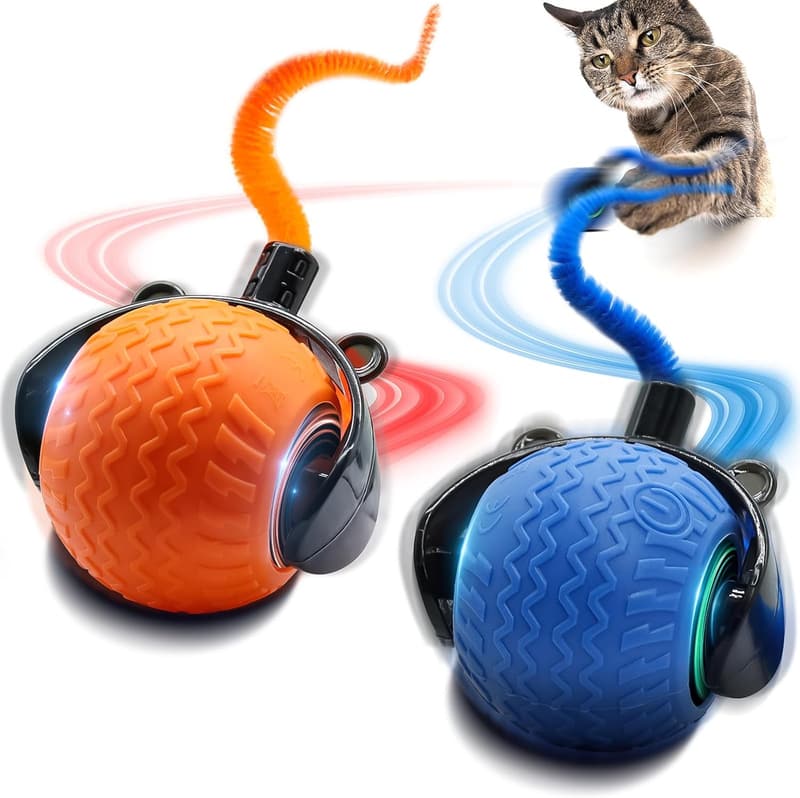 Interactive Speedy Ball Cat Toy Set for Indoor Cats