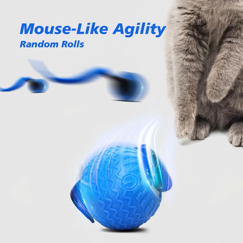 Interactive Speedy Ball Cat Toy Set for Indoor Cats