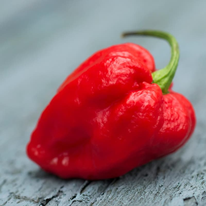 Carolina Reaper Peppers - 16 Count, Whole & Dried, Extra Hot