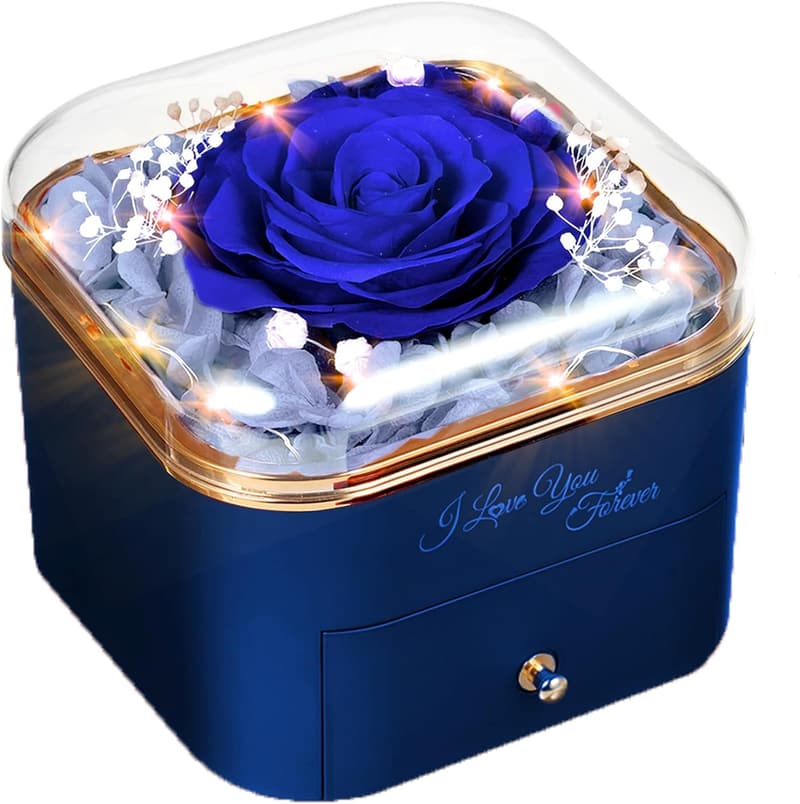Eternal Rose Gift Box with Necklace for Women - Valentine's Day