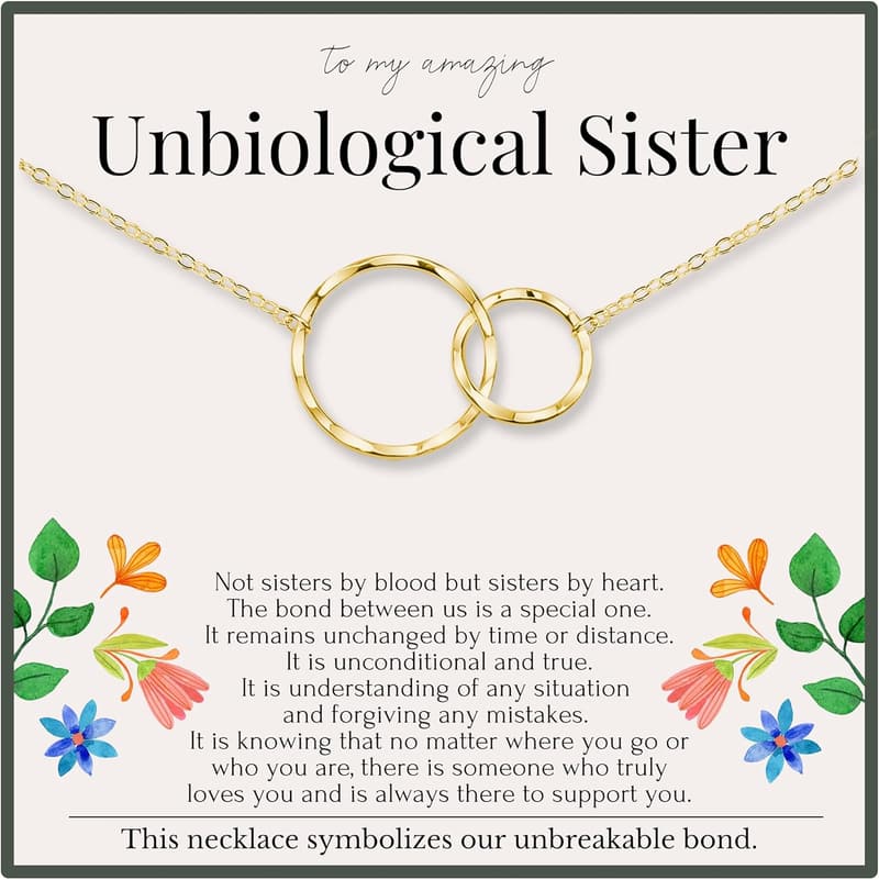 Best Friend Gift: 14k Gold Plated Friendship Necklace
