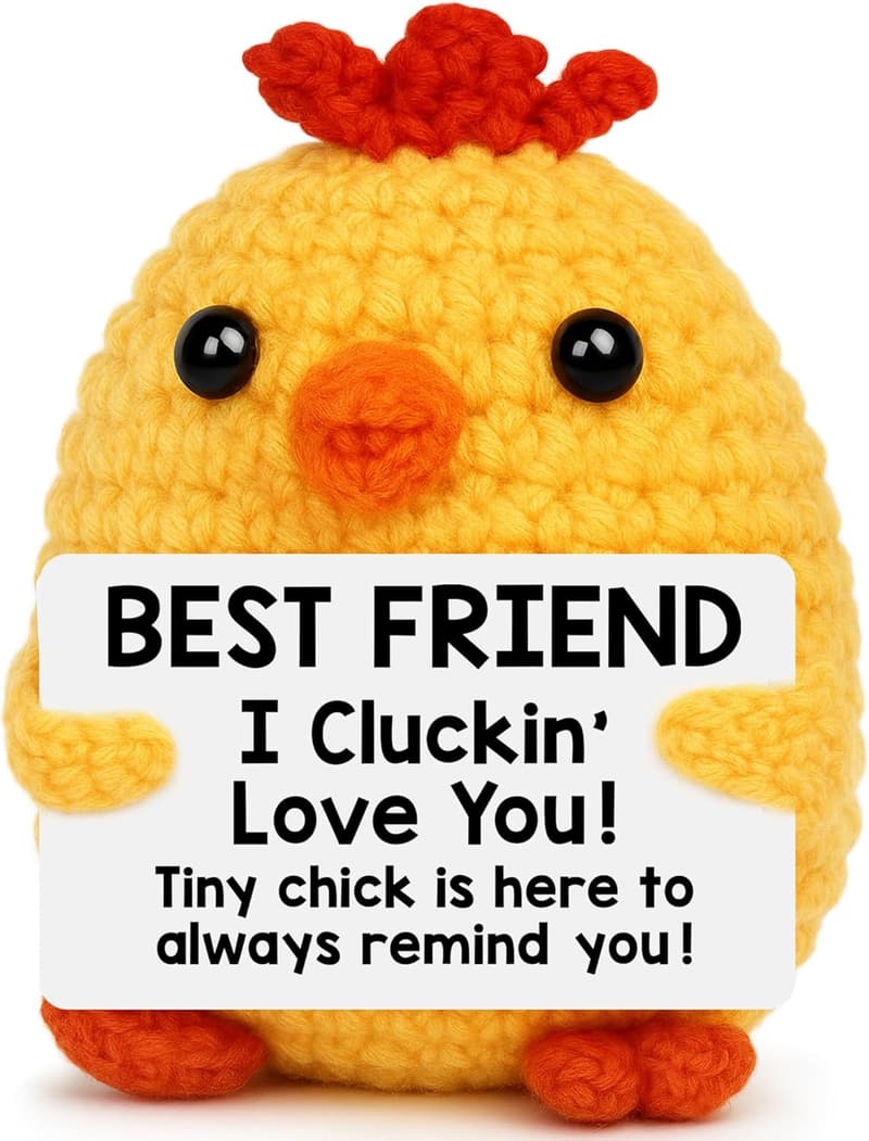 Funny Handmade Crochet Chicken Gift for Best Friends' Birthday