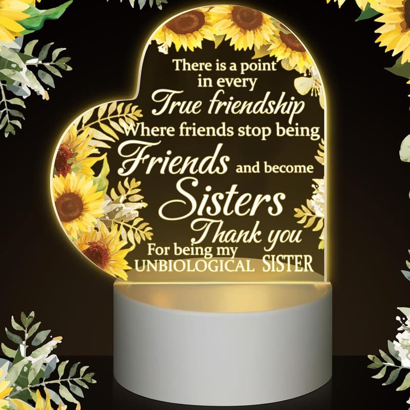 Birthday Friend Gift: Coloured Flower LED Night Light for Women
