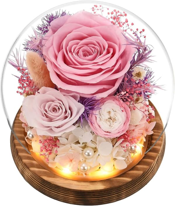 Preserved Pink Roses in Glass Dome with LED Light - Mother's Day Gift