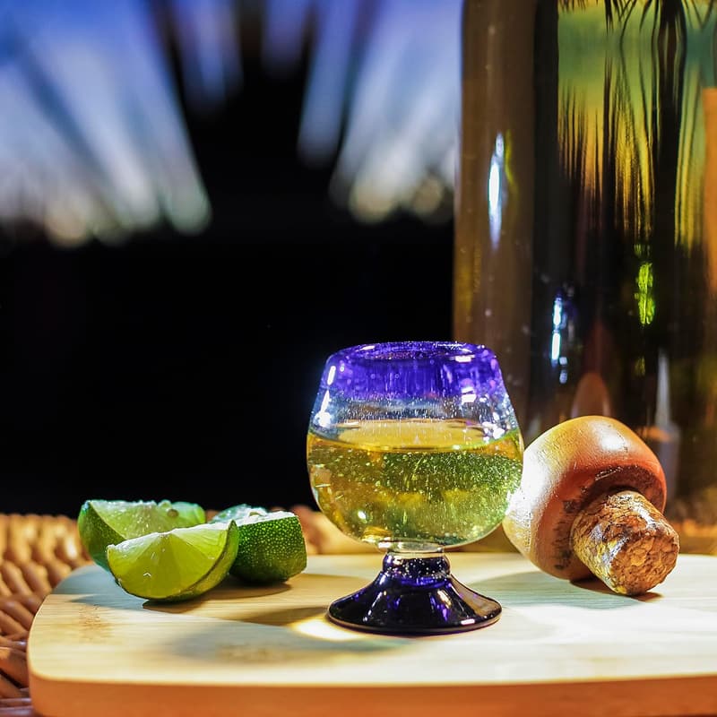 Cobalt Blue Rim Hand Blown Tequila Shot Glasses - Set of 4