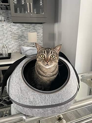 Portable 3-in-1 Cat Carrier & Travel Bag for Pets
