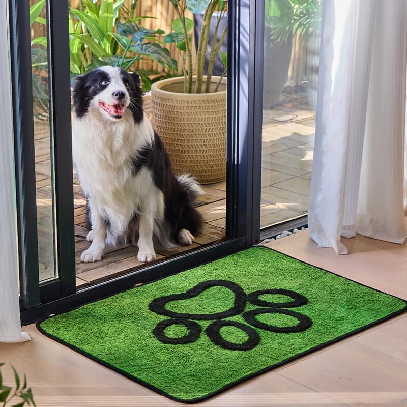 Absorbent Non-Slip Dog Mat for Muddy Paws - 24