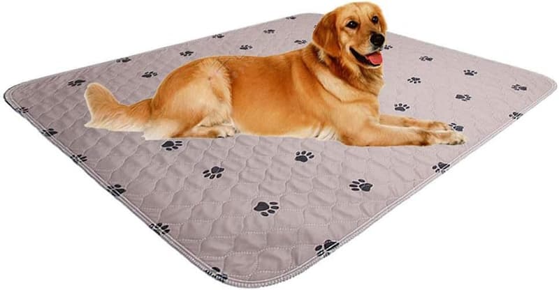 Washable Dog Pee Pads - Large, Reusable & Waterproof