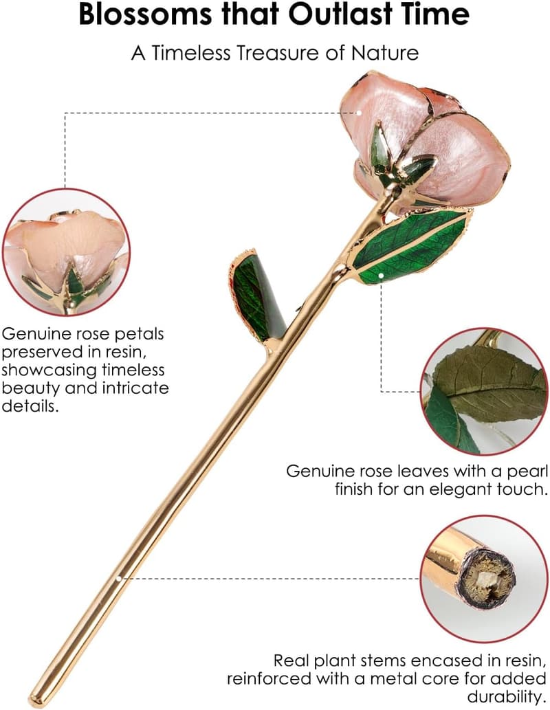 24K Gold Dipped Rose - Unique Romantic Gift for Her