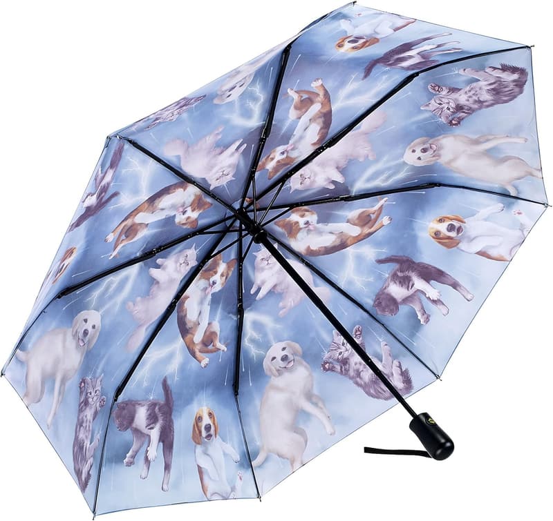 Folding Umbrella with Artistic Prints