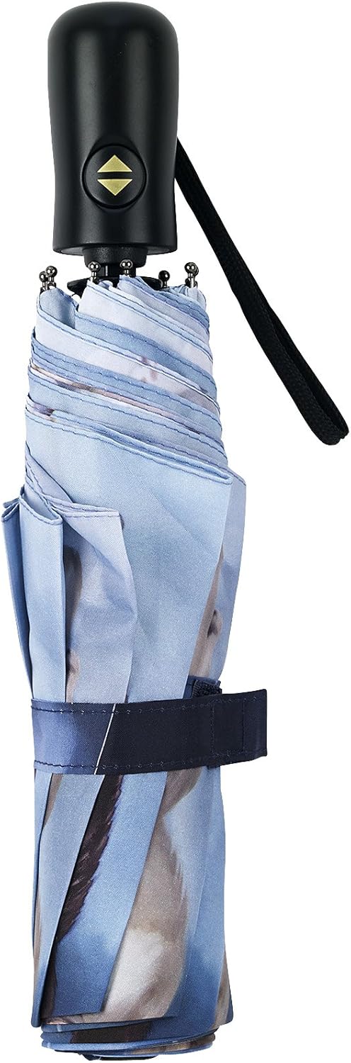 Folding Umbrella with Artistic Prints