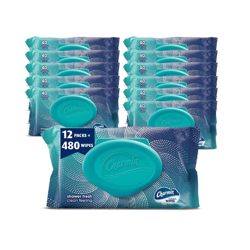 Charmin Flushable Wipes, 480 Count Pack of 12