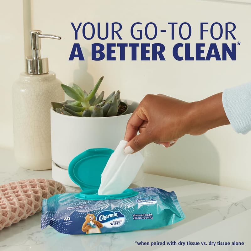 Charmin Flushable Wipes, 480 Count Pack of 12