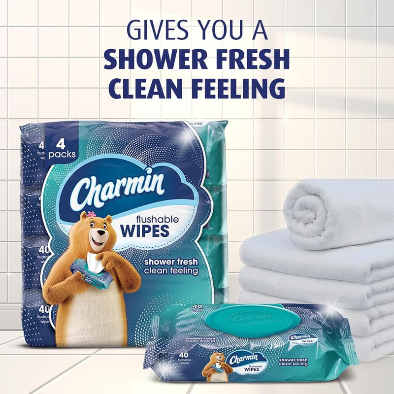 Charmin Flushable Wipes, 480 Count Pack of 12