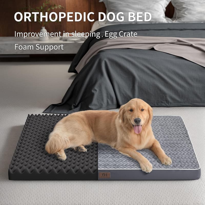 Orthopedic Large Dog Bed with Removable Washable Cover