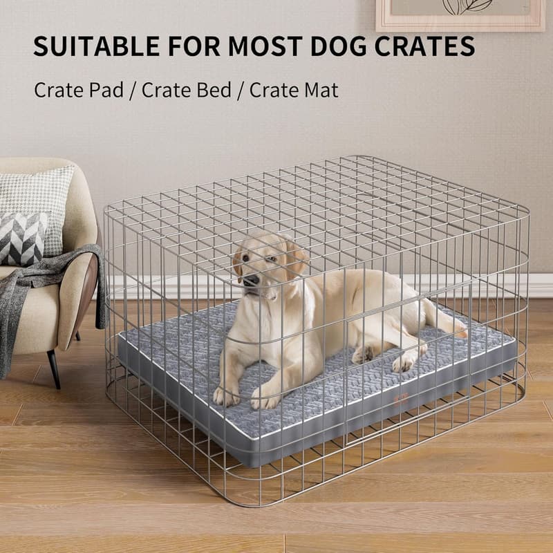 Orthopedic Large Dog Bed with Removable Washable Cover