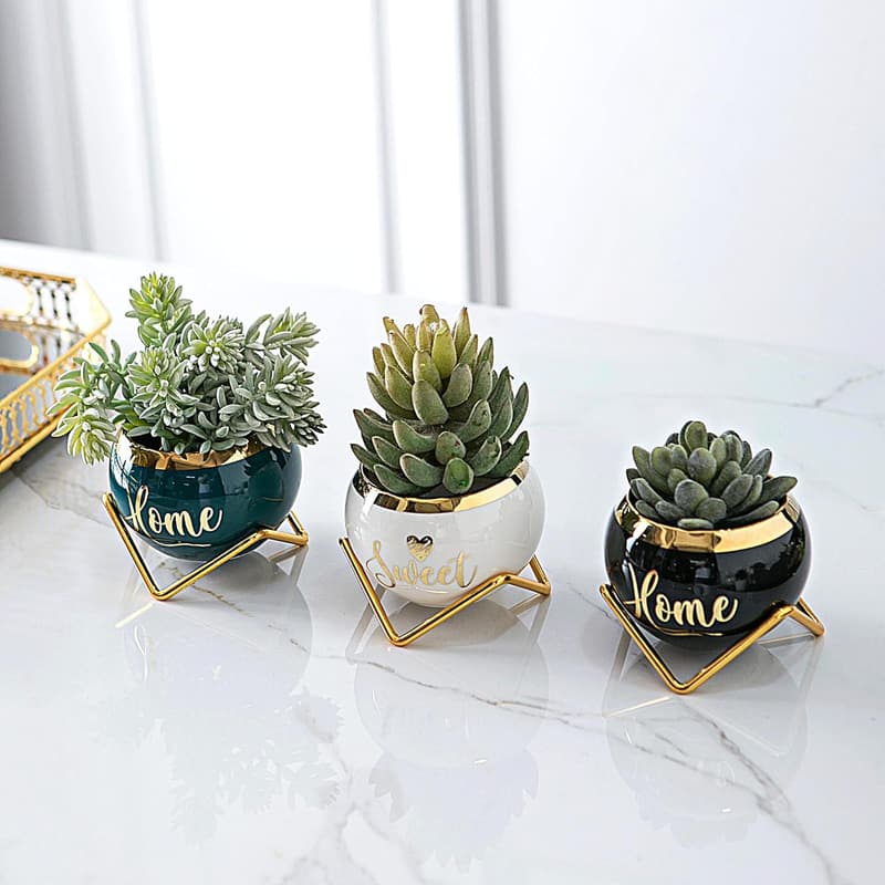 Housewarming: Farmhouse Succulent Pots for Plant Lovers