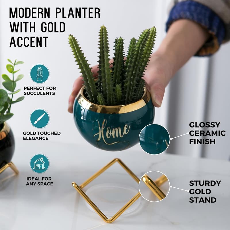 Housewarming: Farmhouse Succulent Pots for Plant Lovers