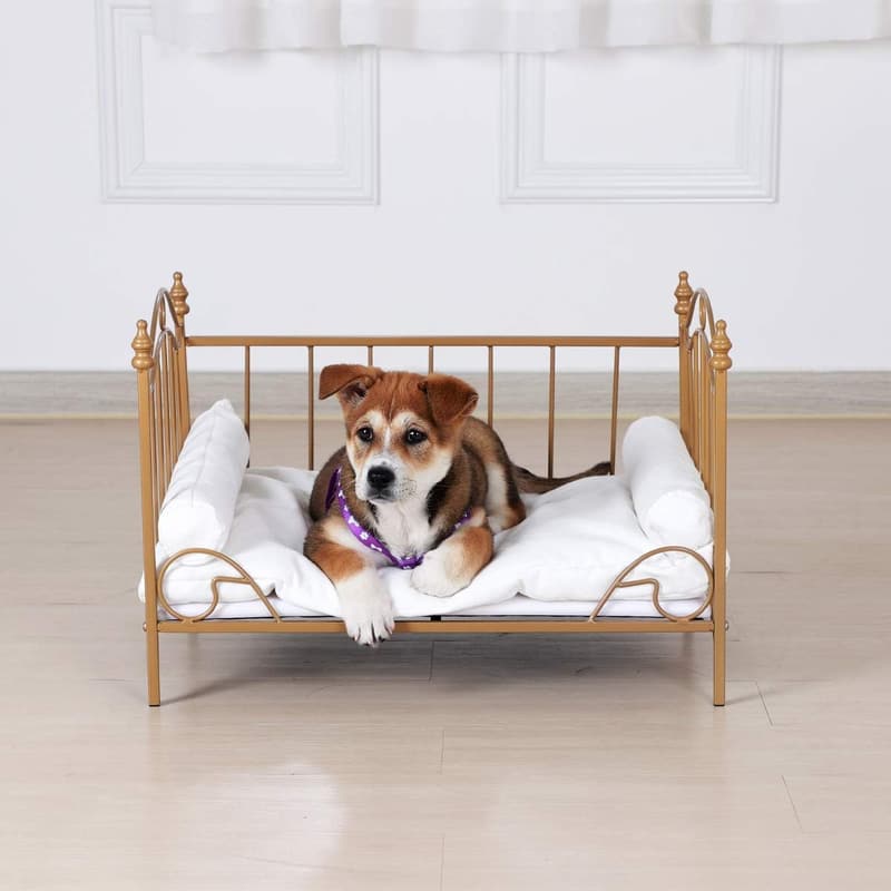 Small Dog Bed with Metal Frame and White Velvet Cushion