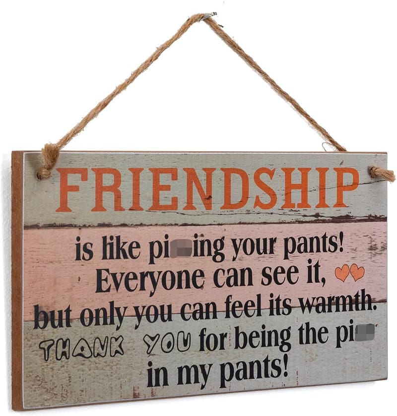 Birthday Wall Art Decor – Funny Wooden Sign for Friends