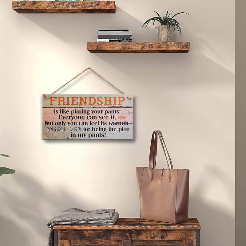 Birthday Wall Art Decor – Funny Wooden Sign for Friends