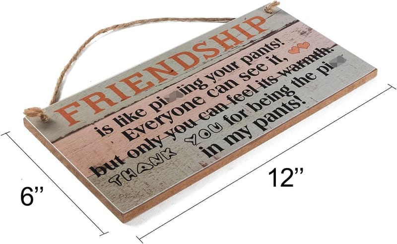 Birthday Wall Art Decor – Funny Wooden Sign for Friends