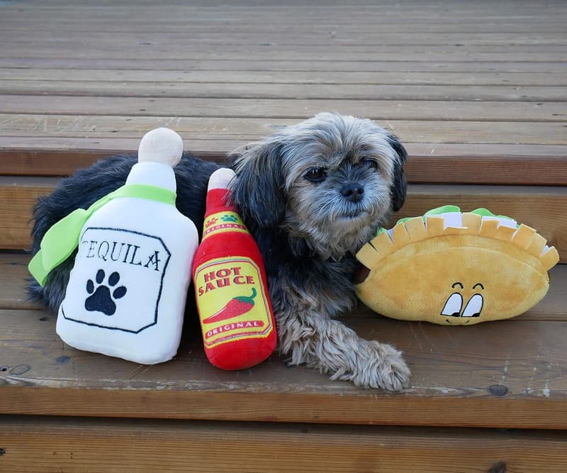 Fiesta Dog Chew Toys - Plush Squeak Toys for All Breeds