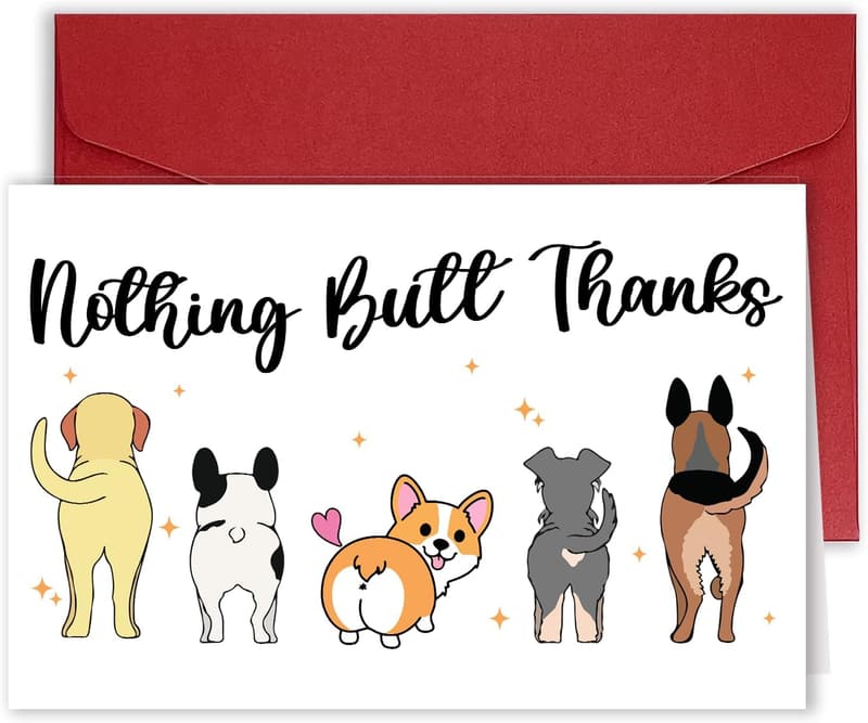 Funny Dog Thank You Card - Appreciation Gift for Teachers & Friends