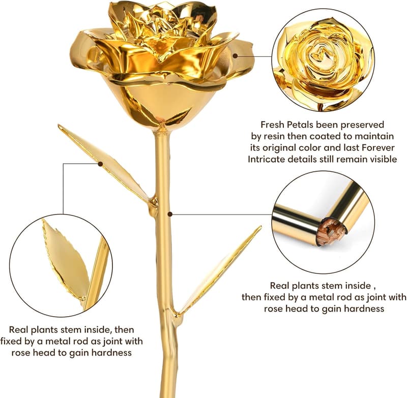 24K Gold Dipped Rose - Unique Romantic Gift for Her
