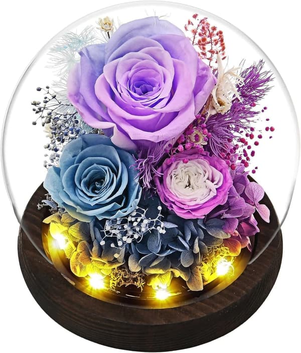 Mother's Day Roses in Glass Dome with LED Light - Gift for Her