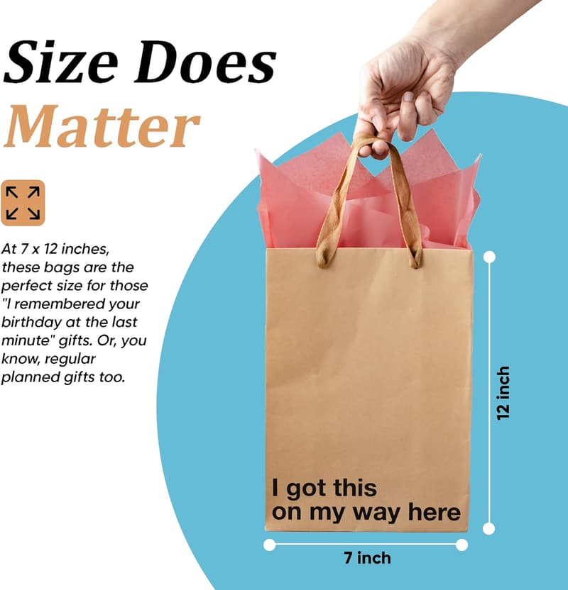 Funny Birthday Gift Bag Set - 5 Snarky Pieces