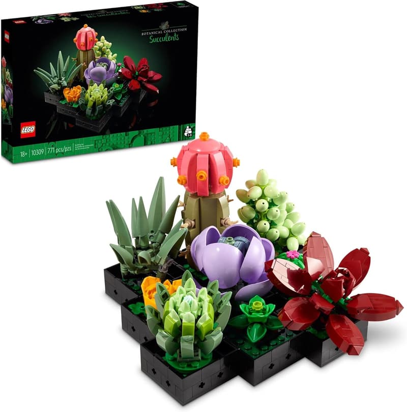 Graduation Gift - LEGO Succulents Indoor Plant Set for Adults