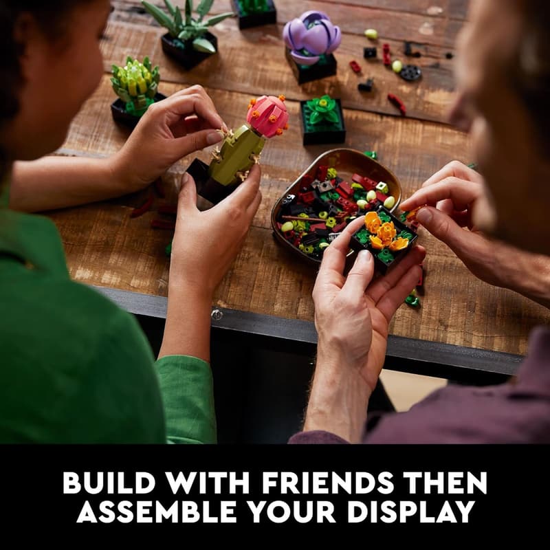 Graduation Gift - LEGO Succulents Indoor Plant Set for Adults