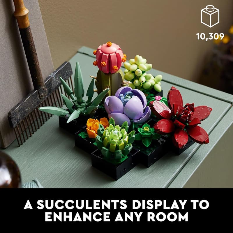 Graduation Gift - LEGO Succulents Indoor Plant Set for Adults