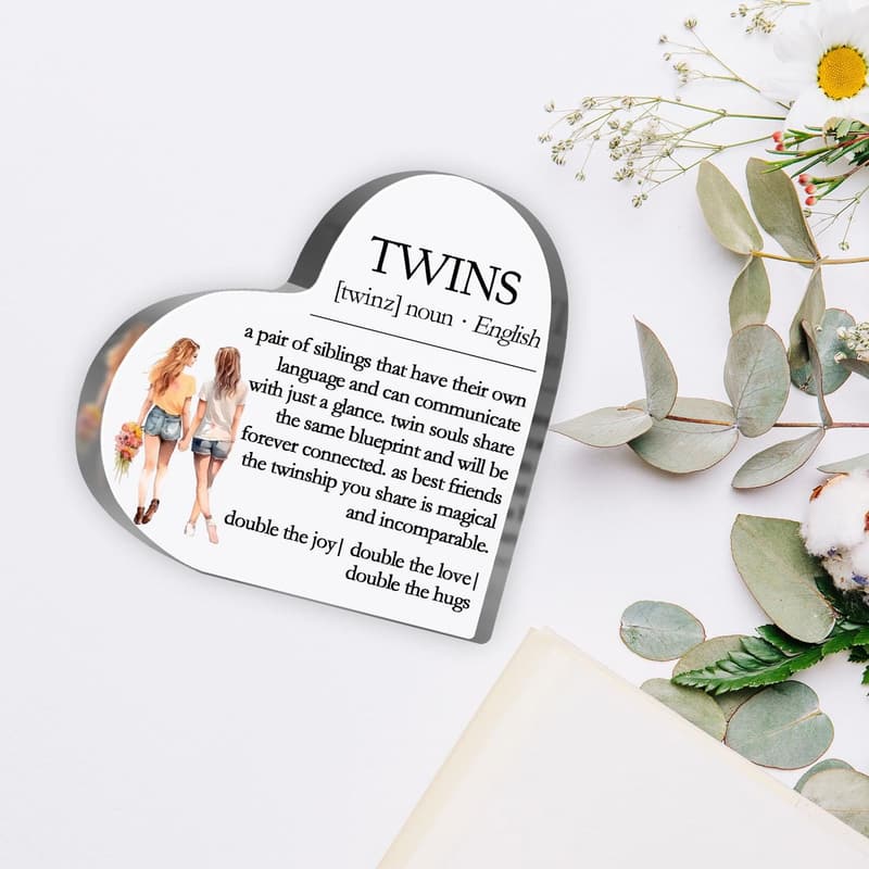 Twins Definition Plaque - Inspirational Desk Sign for Sisters