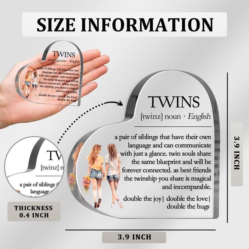 Twins Definition Plaque - Inspirational Desk Sign for Sisters