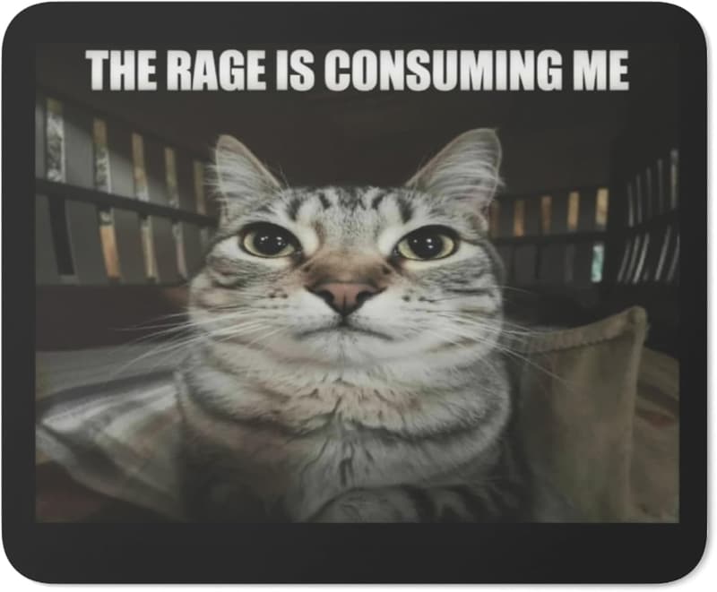 Funny Cat Meme Non-Slip Gaming Mouse Pad for Cat Lovers