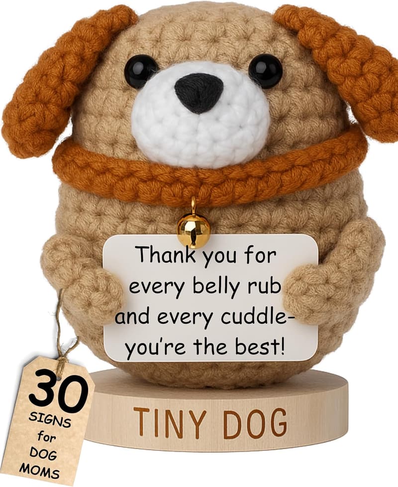 Dog Mom Birthday Gift - Positive Crochet Dog Sign Set