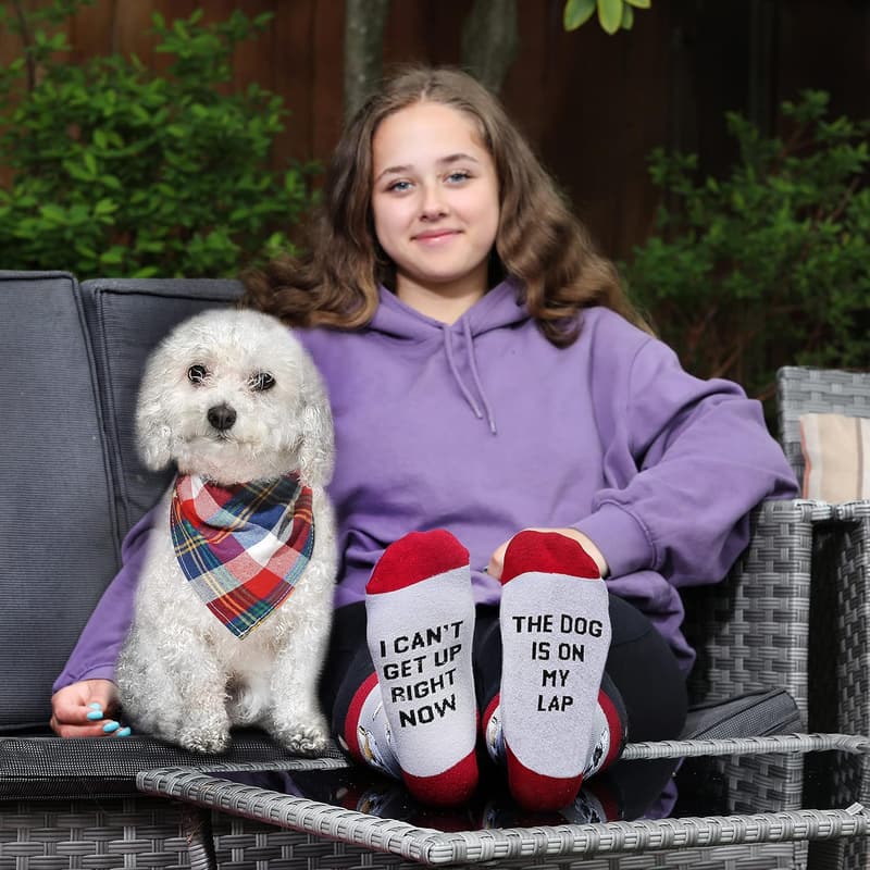 Novelty Socks Gift Box for Cat and Dog Lovers