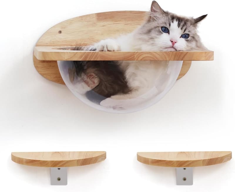 Premium Cat Wall Furniture Set with Transparent Shelves & Pedals