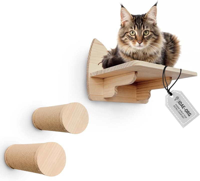 Modern Cat Wall Shelves Set of 3 – Natural Wood Perches & Steps